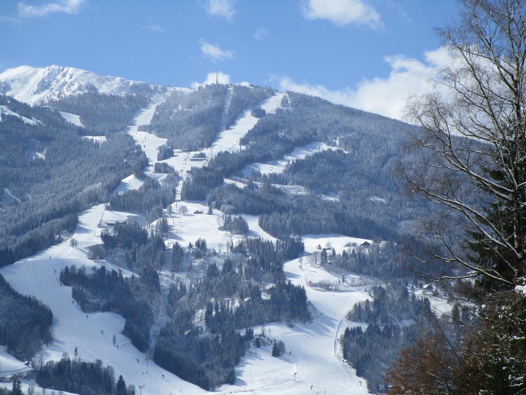 Appartment Stiegler Haus im Ennstal Rum bild