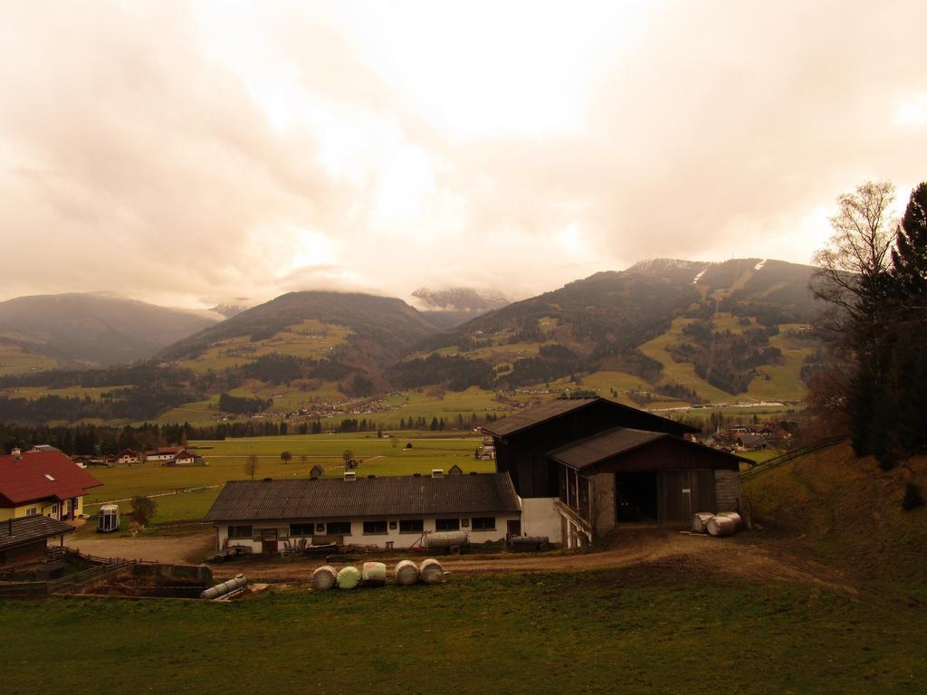 Appartment Stiegler Haus im Ennstal Rum bild
